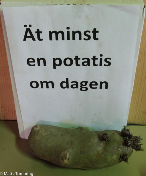 Alla behöver lite grönt varje dag, säger jag som säljer punschrullar.