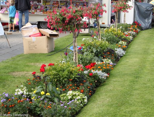 Blomsterrabatt vid Rådhuscaféet.
