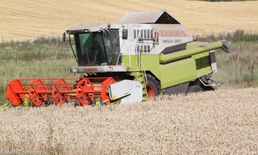 Skördetröskor rullar på alla åkrar man ser på "Slätta"