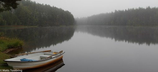 Vi vaknar till en fantastisk lördagsmorgon