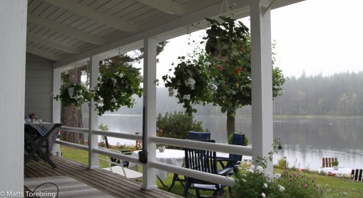 Från verandan på sommarstugan