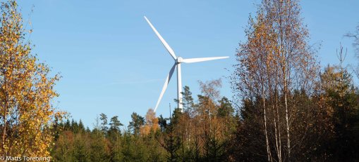 Jag älskar vindkraftverk, men placera den i skogen som här vi Gransnäs 