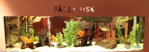 Man kan äta färsk fisk om man önskar.