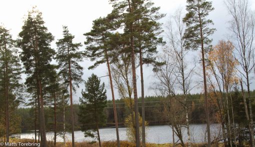 Aborragölen vid infarten till Eksjö från Nässjö