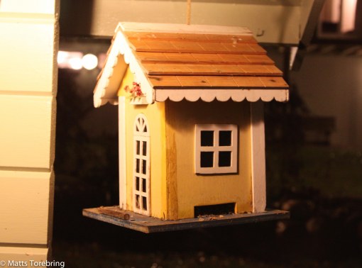 Mitt förra fågelbord