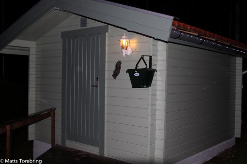 Nu hänger det med fullt av mat till mina små vänner