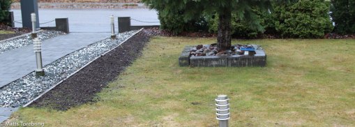 Jag lagade gräsmattan och sådde gräsfrö.