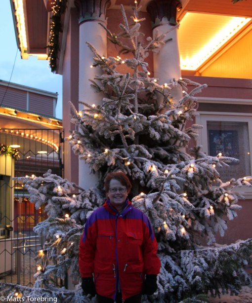 Entré till Liseberg