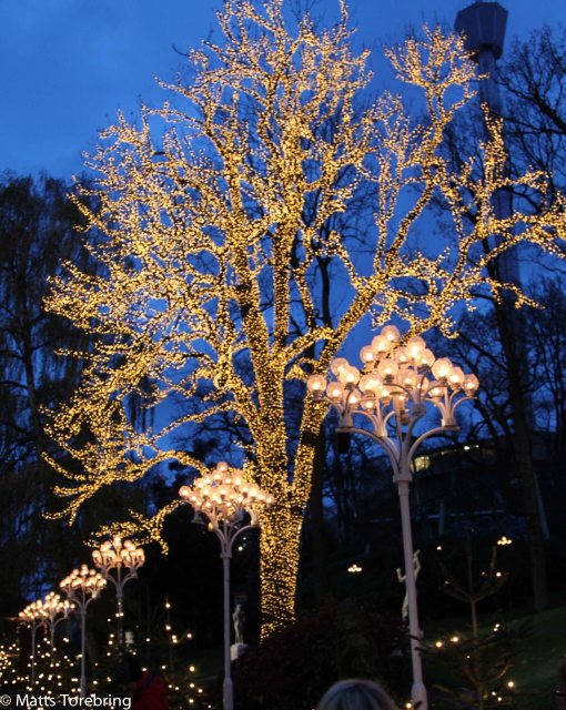 Mörkret börjar falla