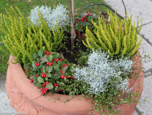 En vacker blomkruka.