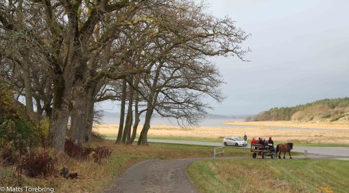 Riktigt vacker natur trots en musen dag.