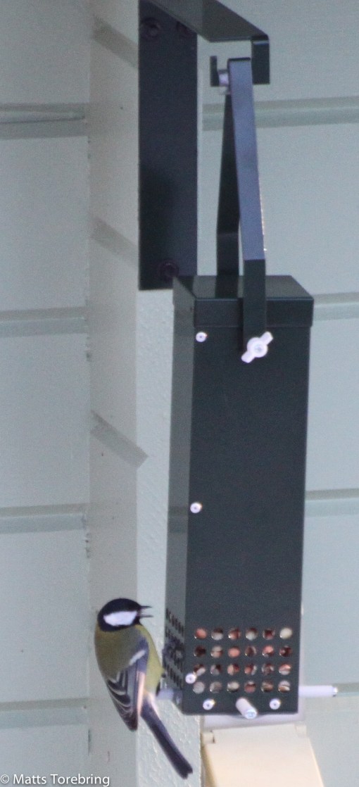 Det kom ett paket på posten