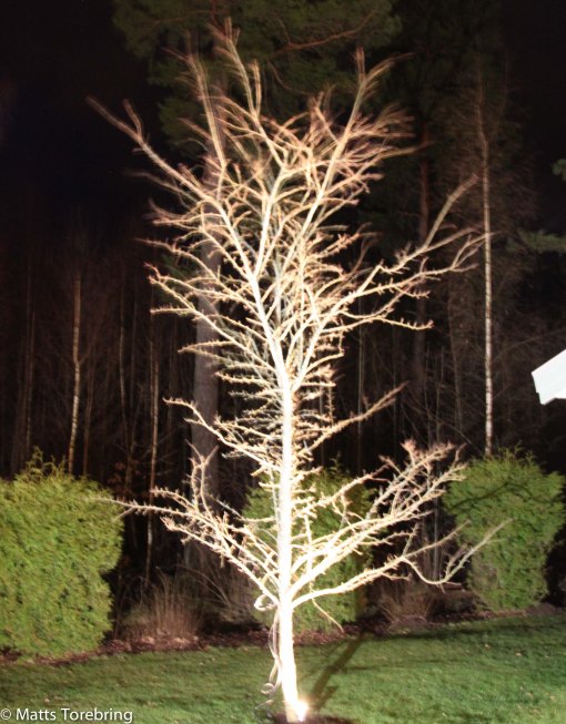 Mycket bättre än ljulljus, nu lyset det upp hela den mörka årstiden