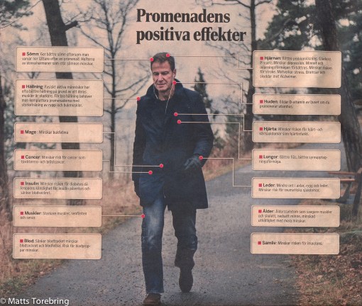 Intressant artikel i Dagens Industri