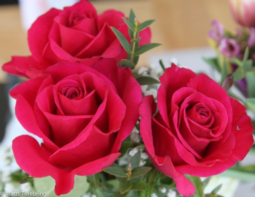 Av mig fick Birgitta dessa vackra rosor.