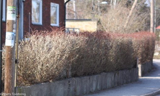 Spännande att se hur det ser ut nästa gång vi kommer