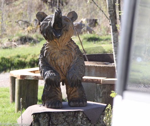 När vi vaknar på Lyckarps Ställplats står en björn och brummar på oss