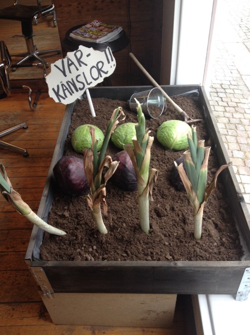 I Skyltfönstret hos Studio C Eksjö