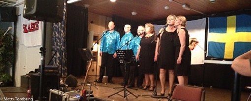 Sång & Musik & Underhållning hela kvällen