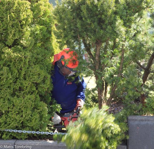 Det ljusnade ganska mycket och blev bra