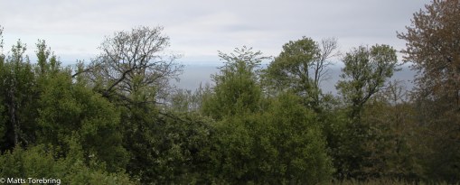 Så mycket vackert man ser när man går