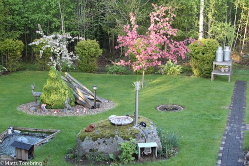 Två Paradisäppelträd översållade med blommor