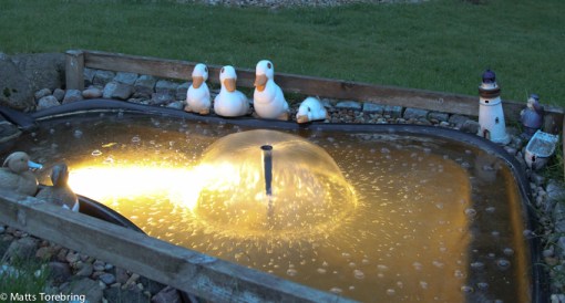 Pappa, mamma, kan vi inte få simma nu