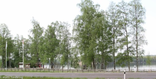 Rastplats Boskavarnasjön