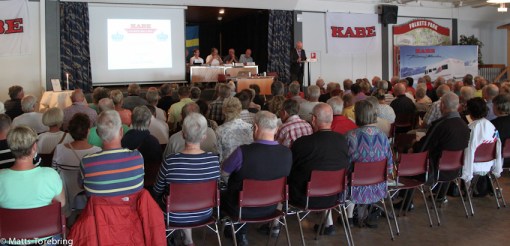 Årsmötesförhandlingar