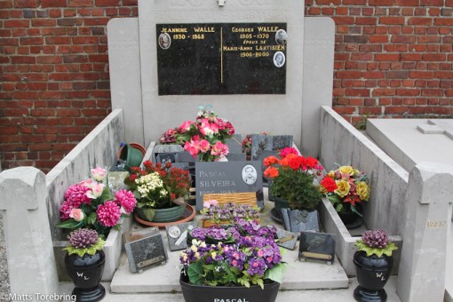 Naturliga blommor, sidenblommor och blommor i keramik