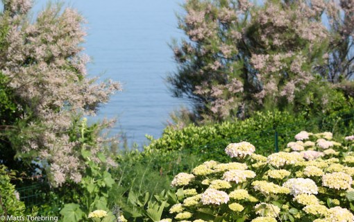 Vi går en strandpromenad på förmiddagen
