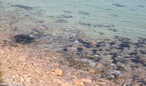 Det finns en beach ett stycke bort, detta ser inte badvänligt ut