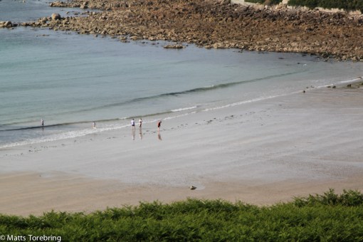 När vi går upp till restaurangen, är det ebb i havet och flera badar