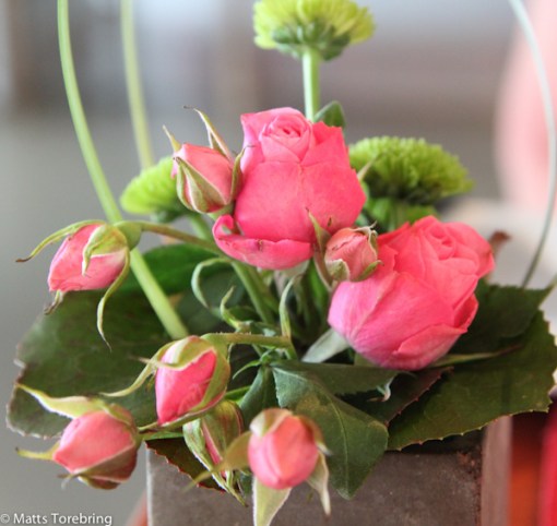 Utsökt vackra blommor på borden.