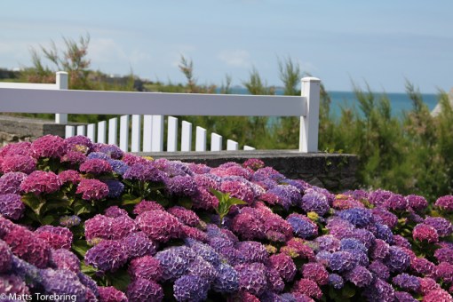 Vi cyklar bort till en rastplats där vi kom förra veckan.