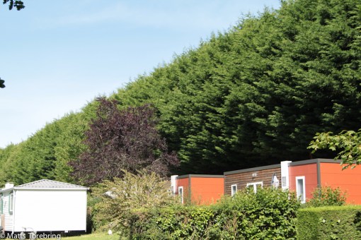 Vi bor ett stenkast ifrån den