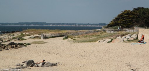 Mycket tång och svarta klippor
