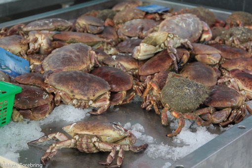 Återigen blev det fest på färska räkor.