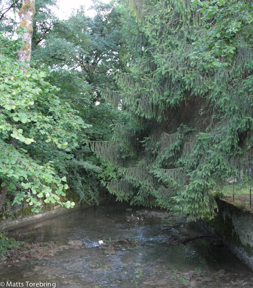 En å rinner fram som kan locka till fiske