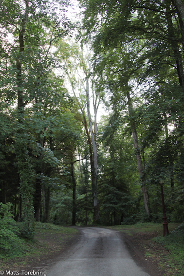 Sorti (väg till utfarten)