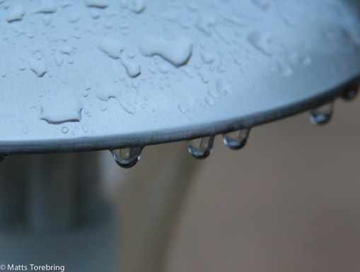 Små vattendroppar på mina trädgårdslampor