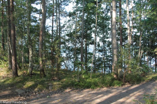 Jag älskar skogen (bara jag slipper arbeta iden) och vattnet