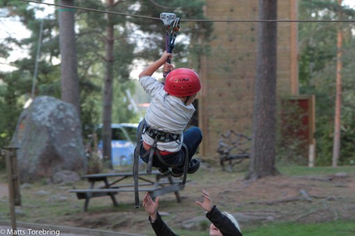 Även Linus gillade detta