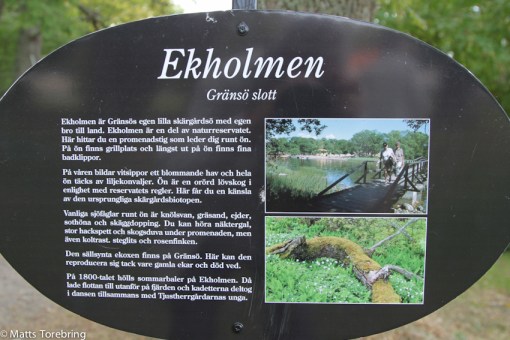 Vi går en runda på Ekholmen, en ö utanför Gränsö