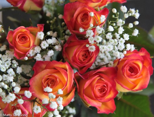 En liten rosbukett till min käraste på födelsedagen