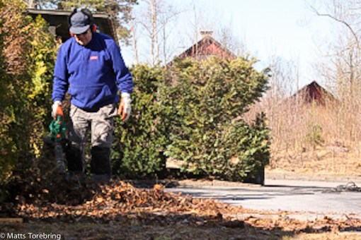 Varenda lite löv är borta nu