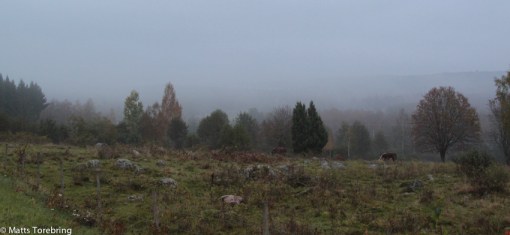 Gården Härjestad utanför Aneby