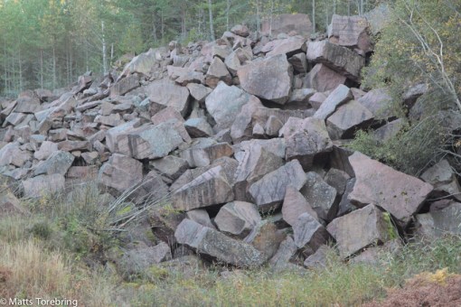 Såren i naturen är enorma