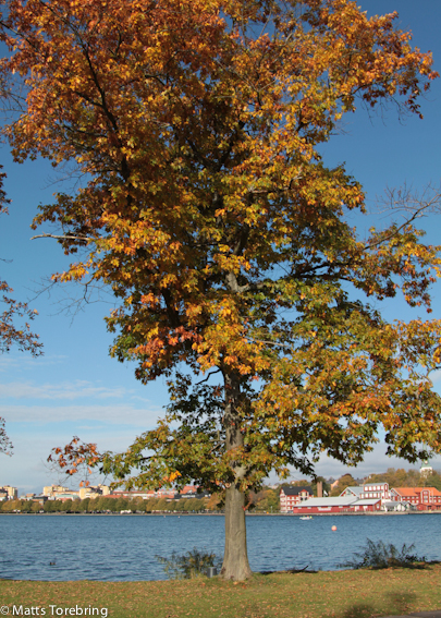 Tillbaka på ställplatsen