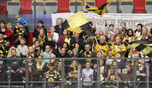 AIK fans